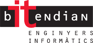 bITendian – software engineers